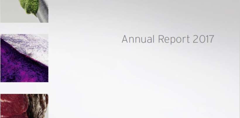 Annual Report 2017