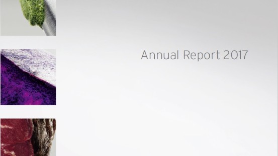 Annual Report 2017